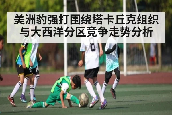 美洲豹强打围绕塔卡丘克组织与大西洋分区竞争走势分析
