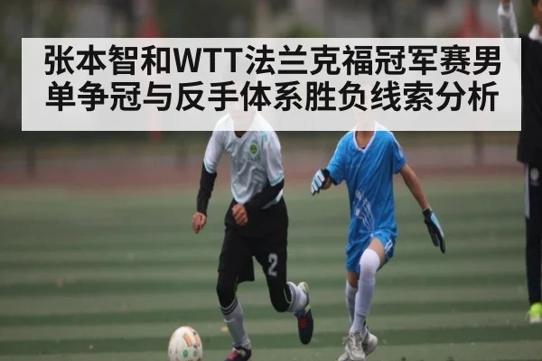张本智和WTT法兰克福冠军赛男单争冠与反手体系胜负线索分析